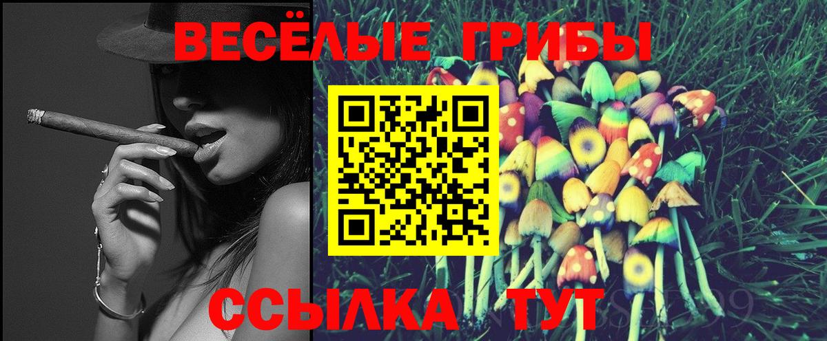 Псилоцибиновые грибы GOLDEN TEACHER  Вход с VPN  Куйбышев  Псилоцибиновые грибы мицелий 