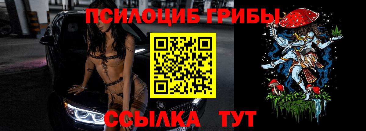 Псилоцибиновые грибы Psilocybe Куйбышев