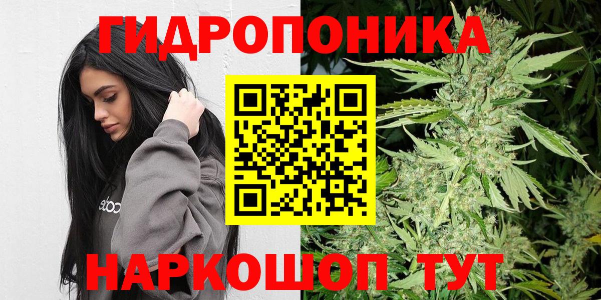 Куйбышев  Шишки марихуана план  Вход с VPN  Марихуана план 